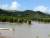 Mangrove